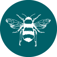 website icon bee