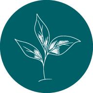 website icon plant