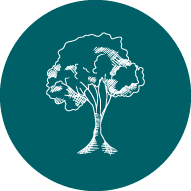 Website Icon Tree
